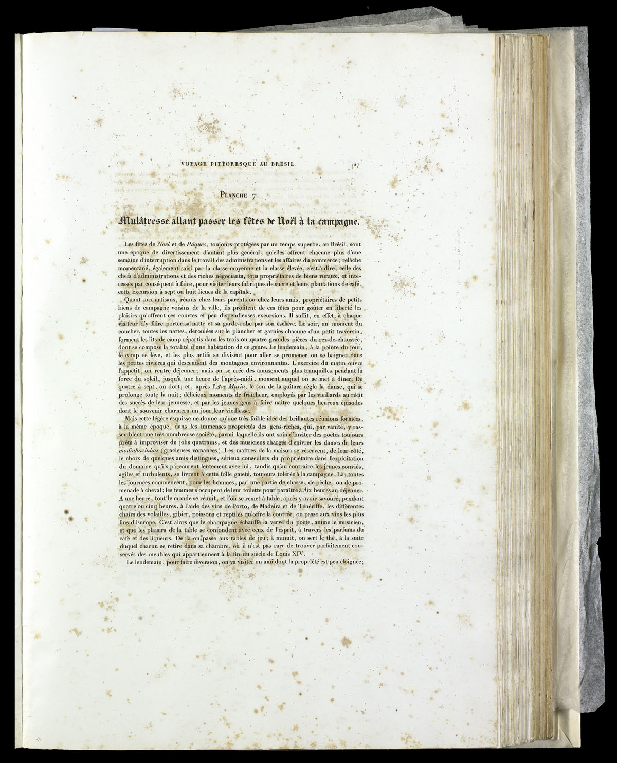 icon393054_074