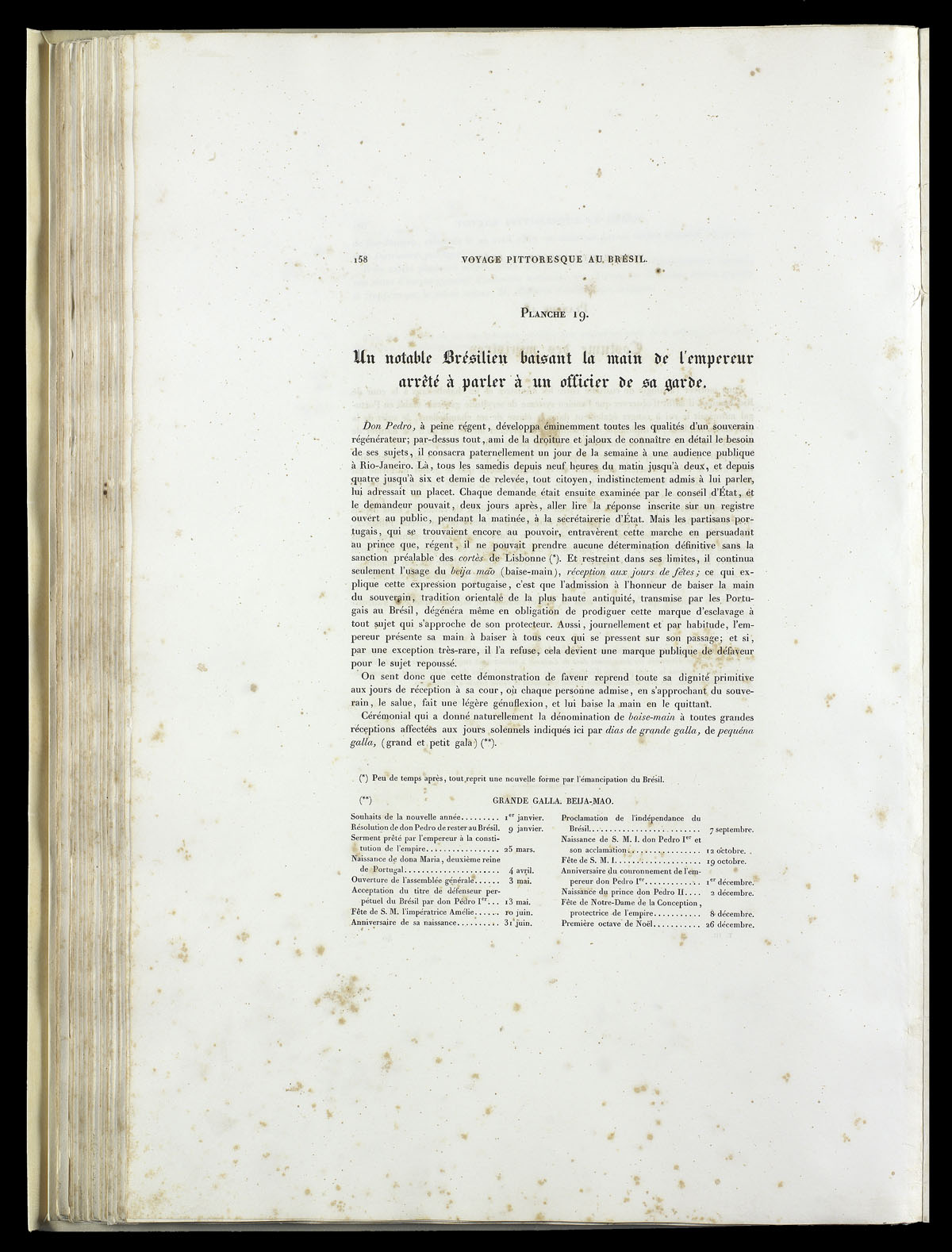 icon393054_089v