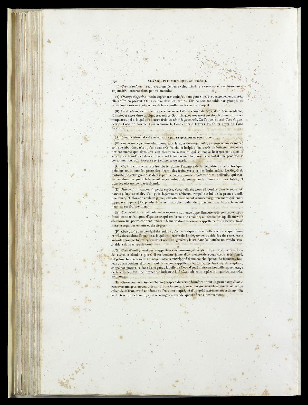 icon393054_095v