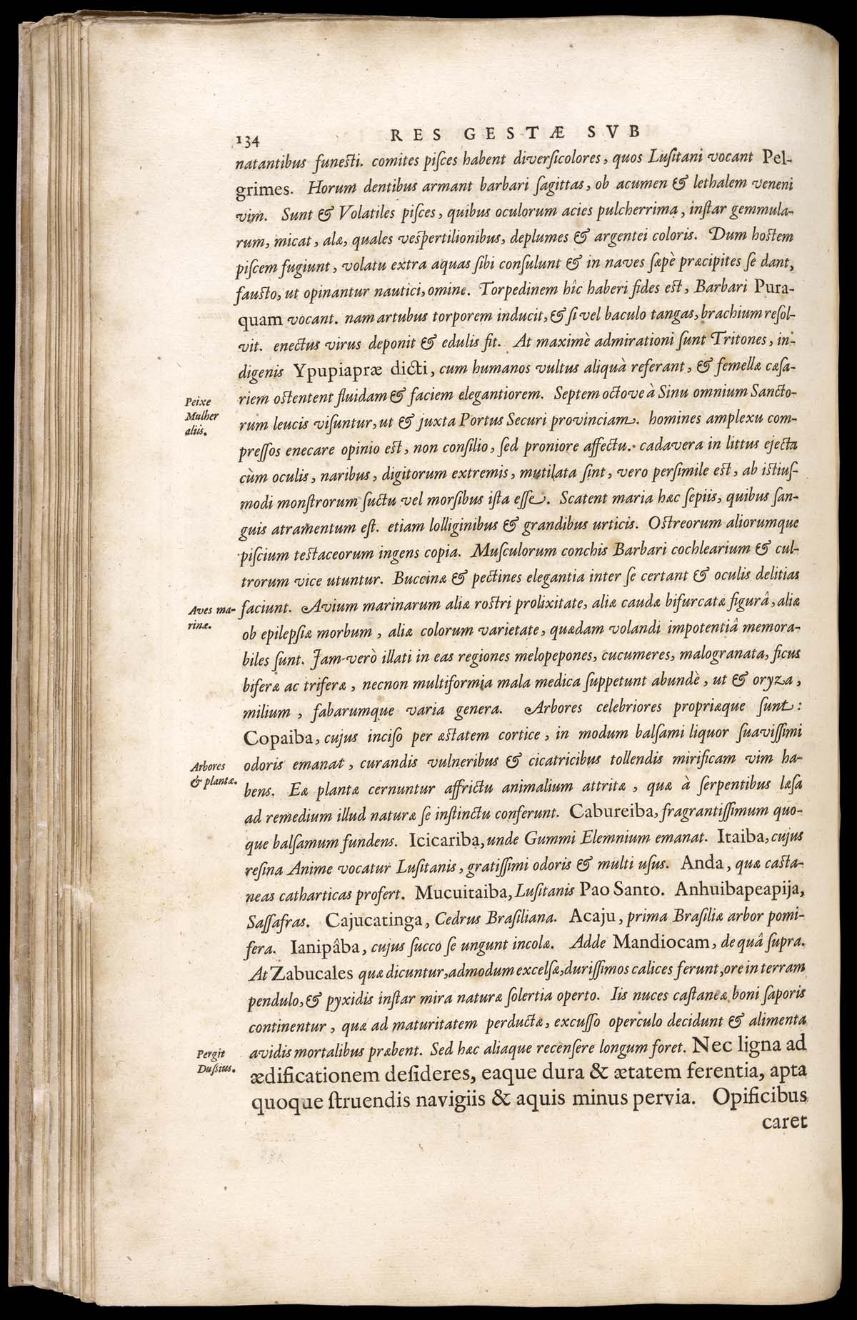 or1024869_106v