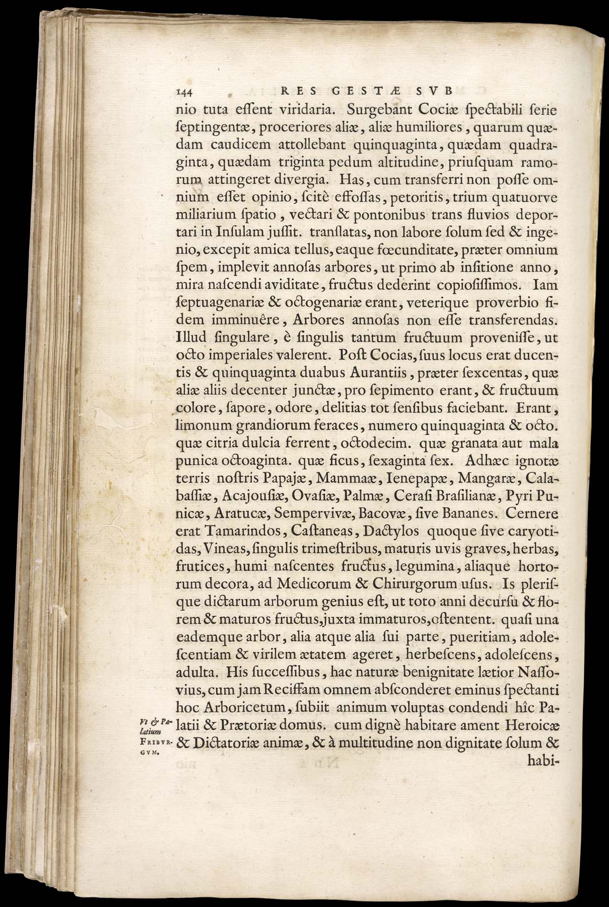 or1024869_116v