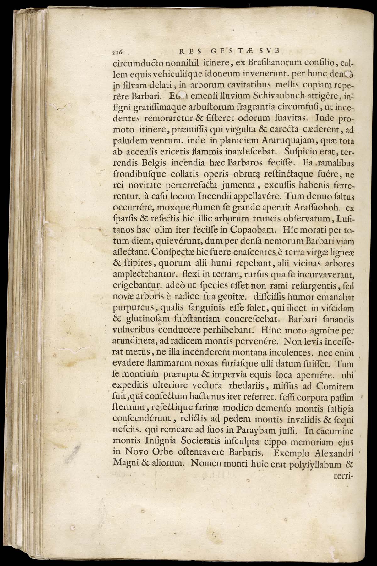 or1024869_165v