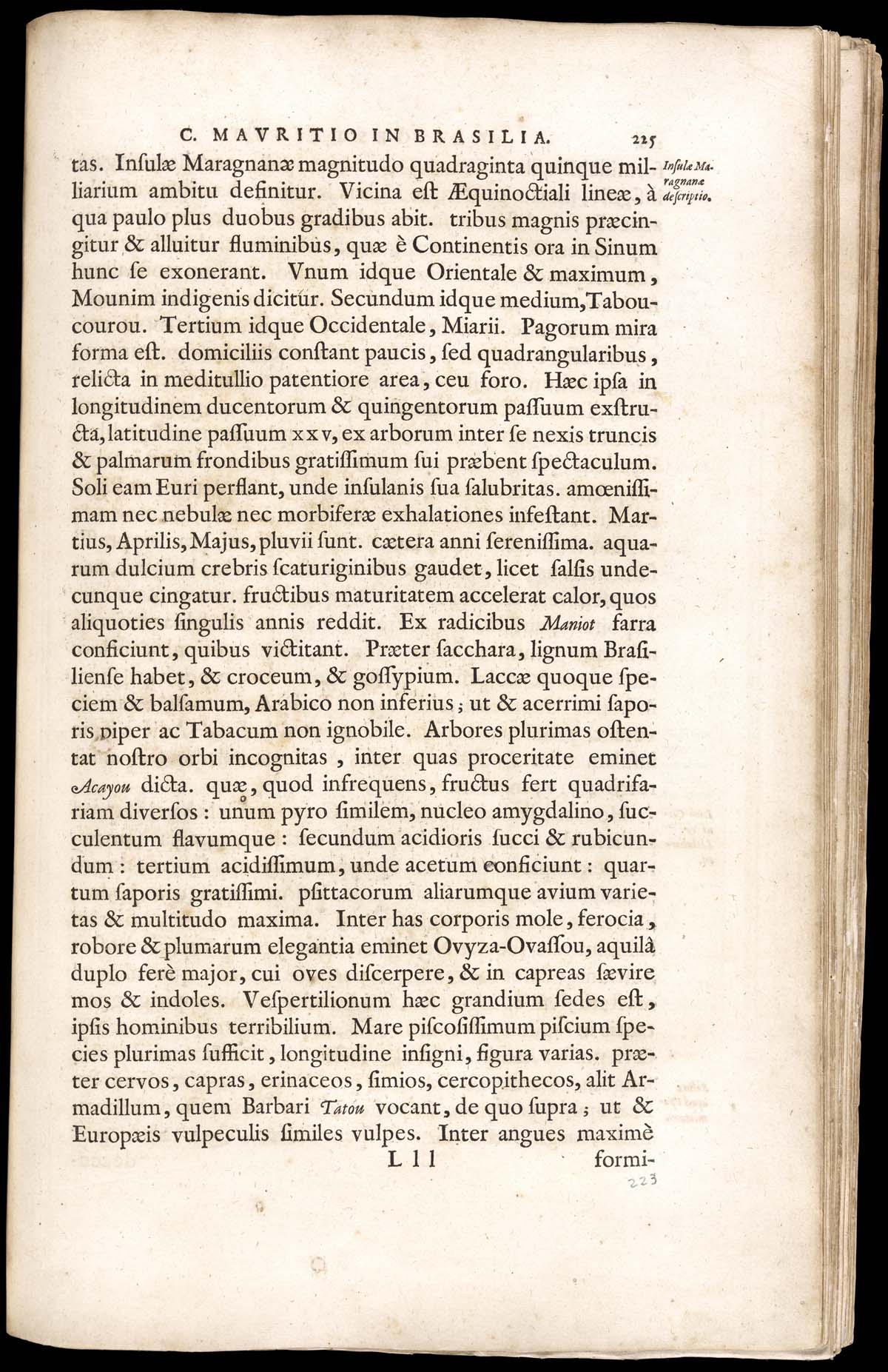 or1024869_172