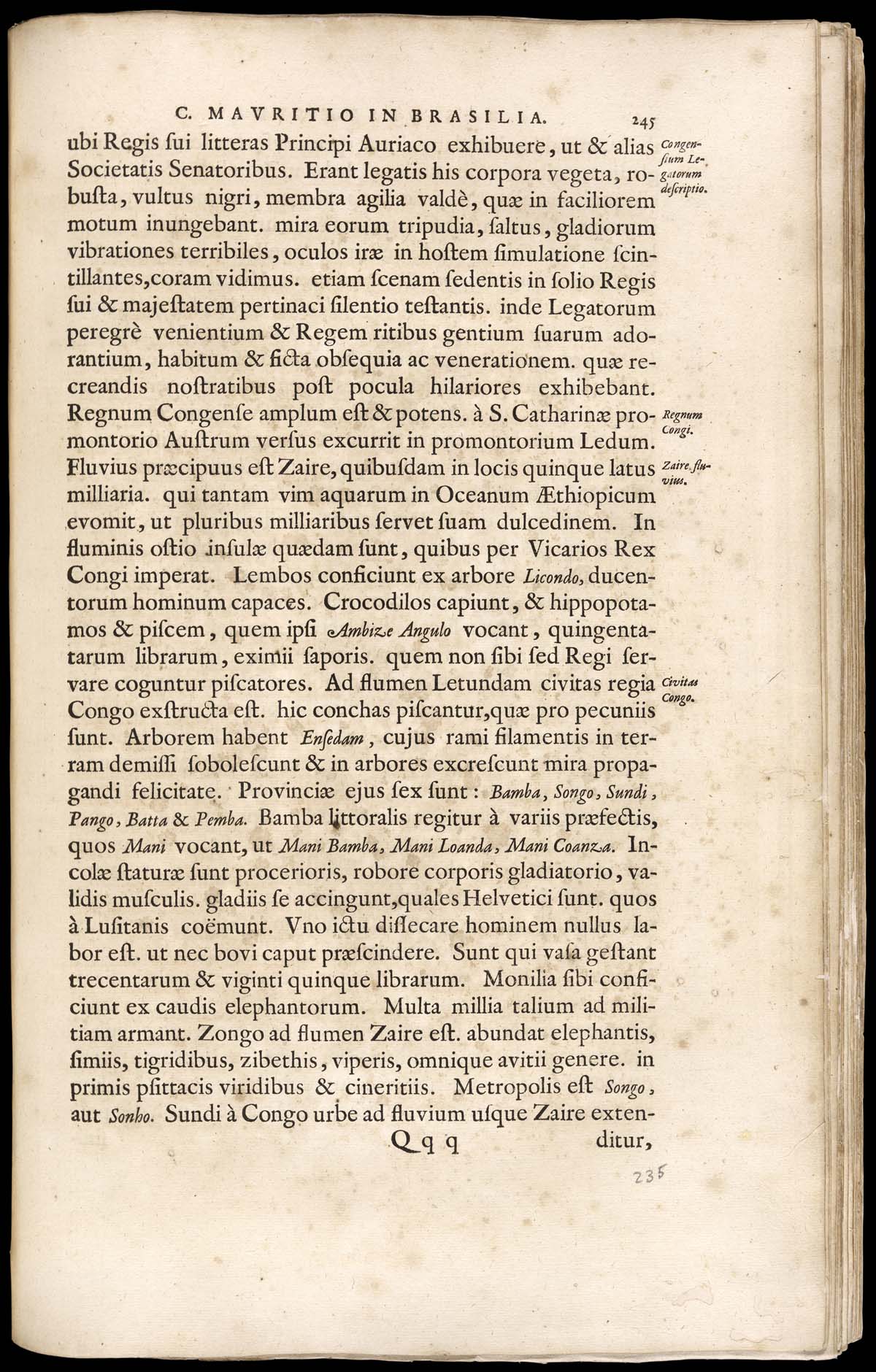 or1024869_183v