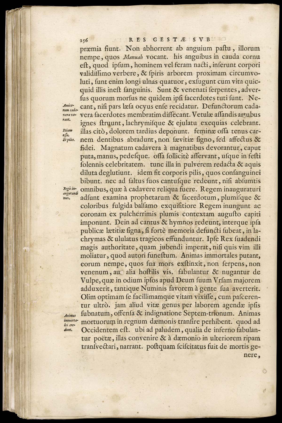 or1024869_189