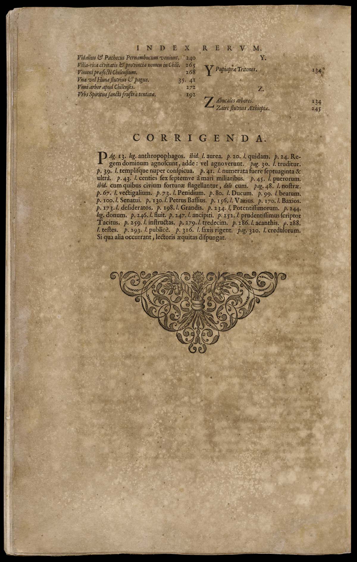 or1024869_239