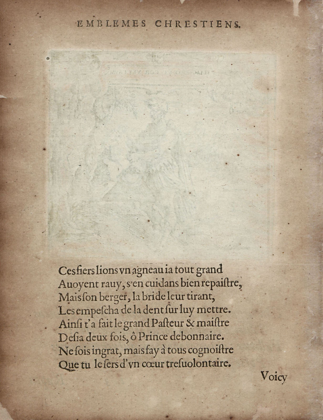 or1451410_035v