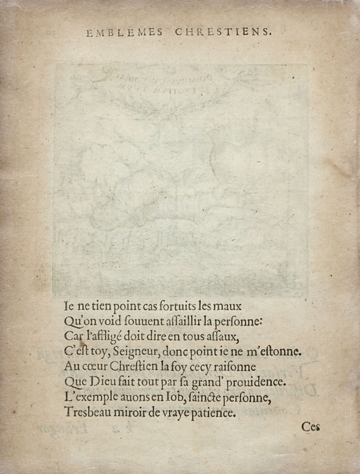 or1451410_038v