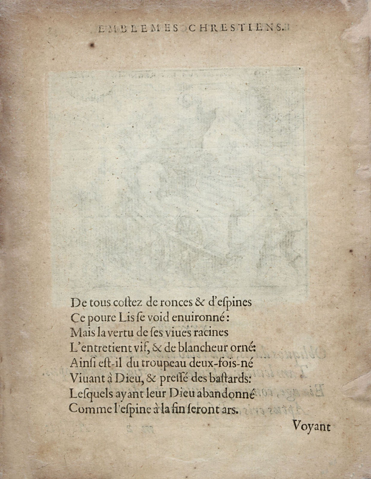 or1451410_046v