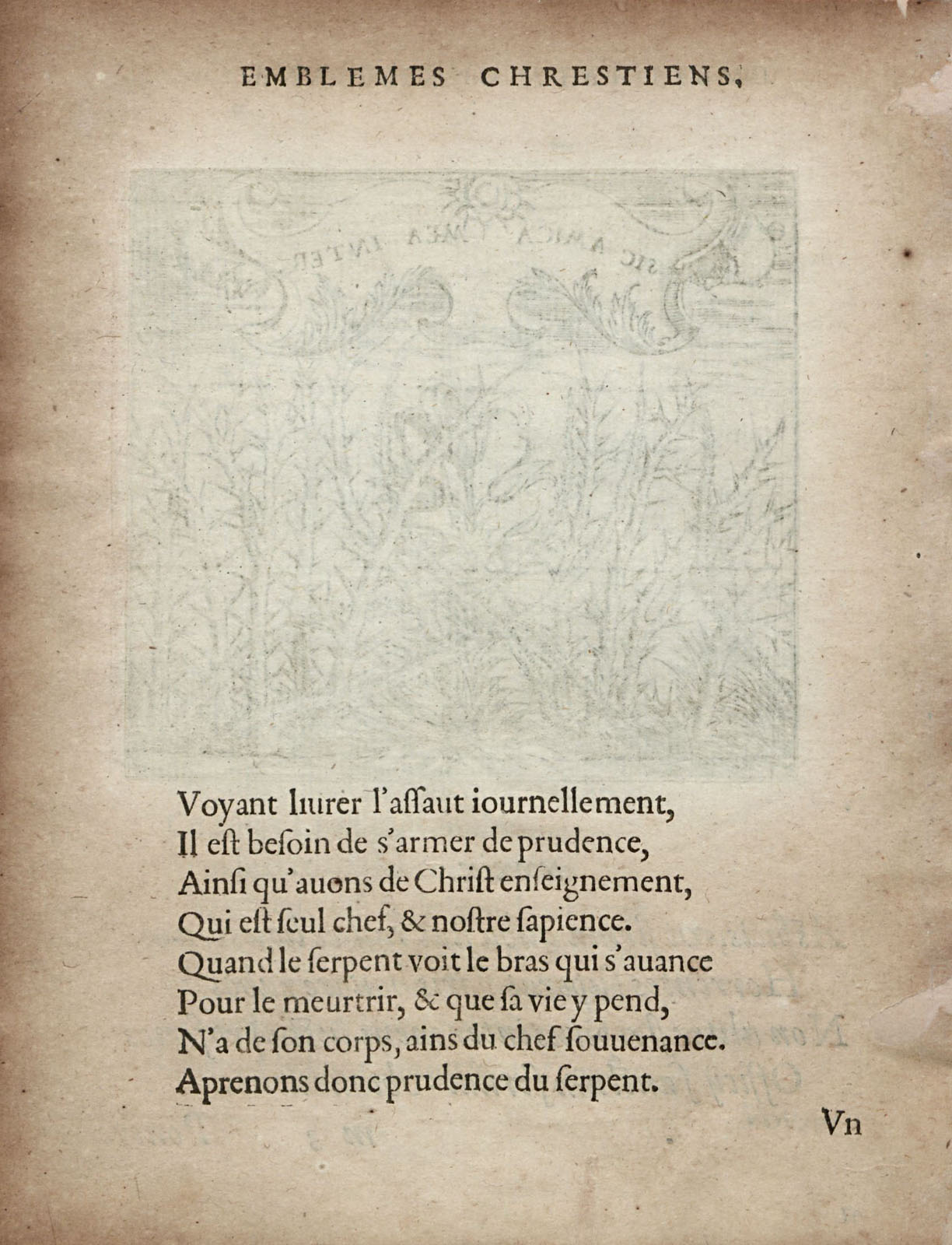 or1451410_047v