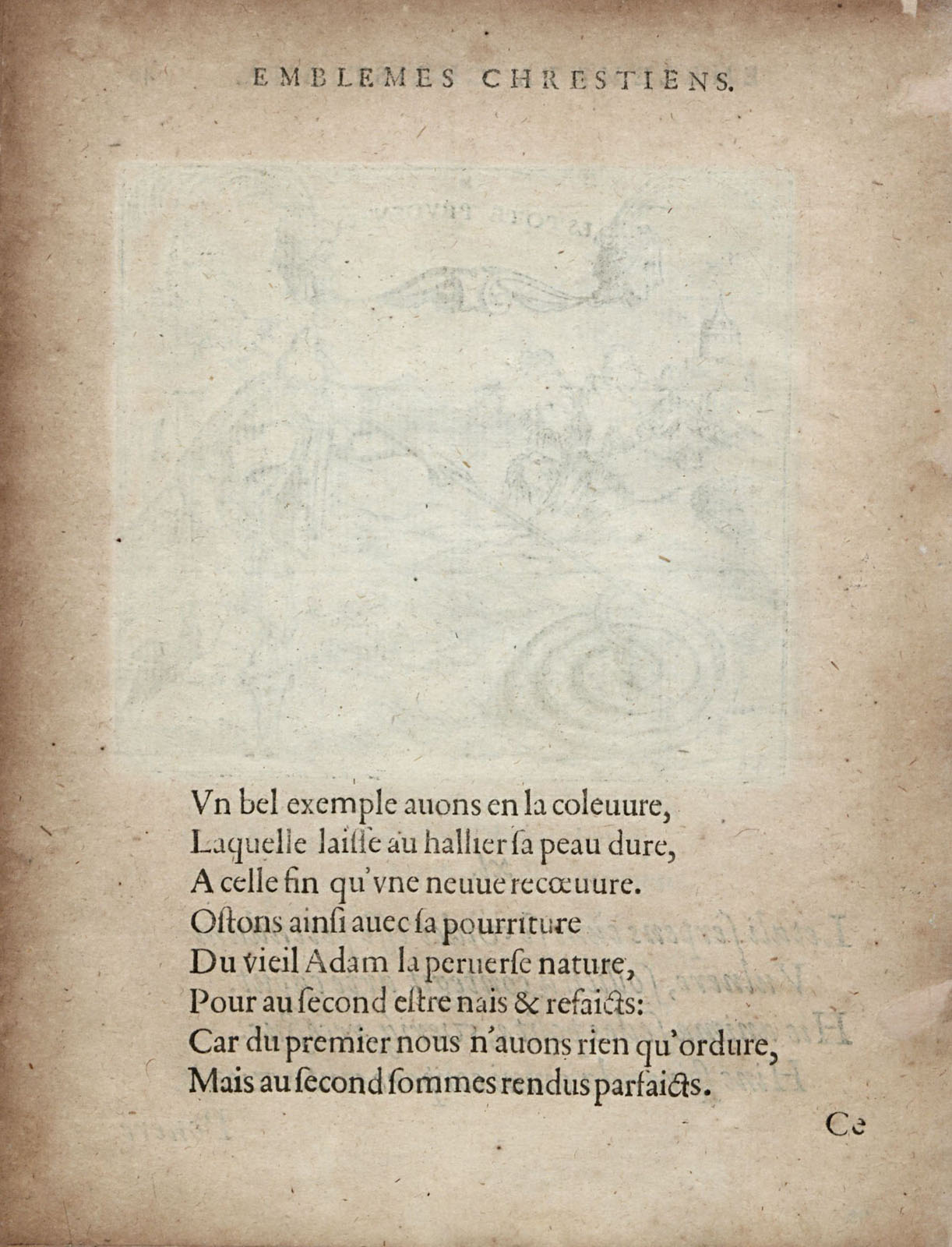 or1451410_048v