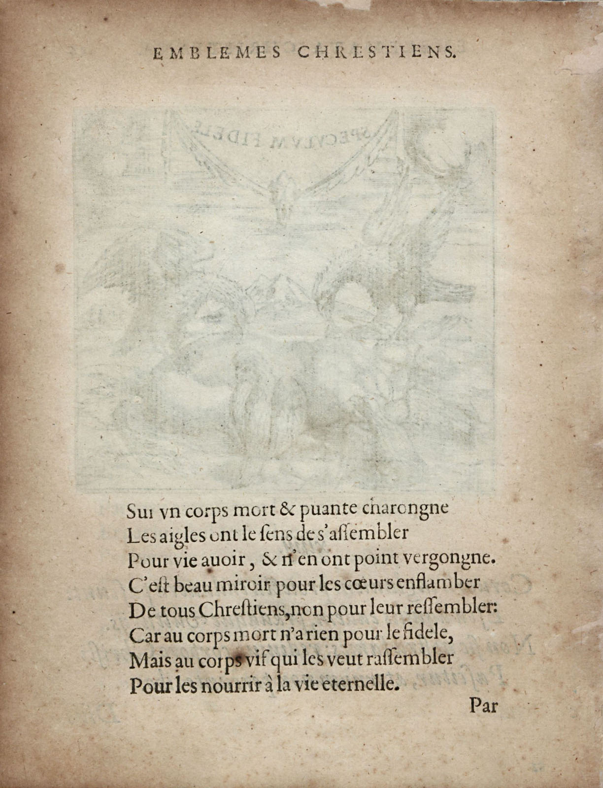 or1451410_052v