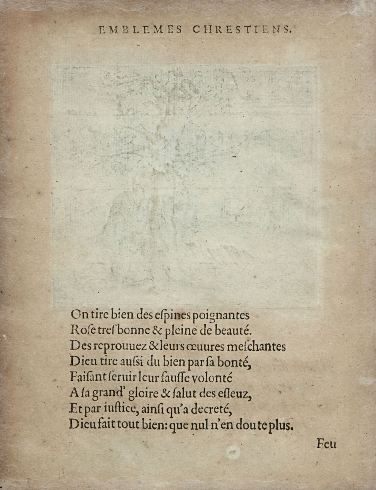 or1451410_073v