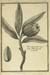 or329849_064v